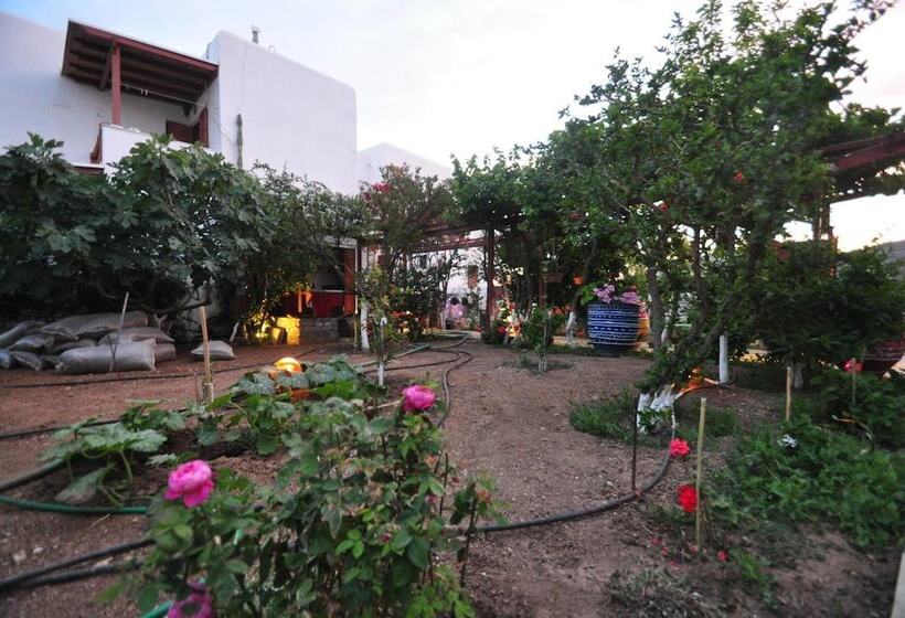 پانسیون Villa Mata