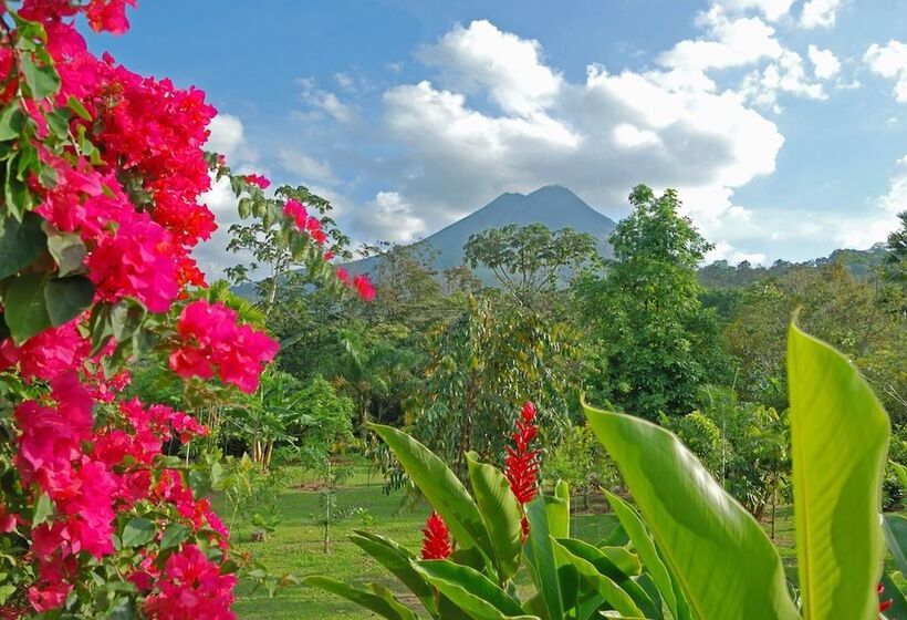 Volcano Lodge Hotel & Thermal Experience