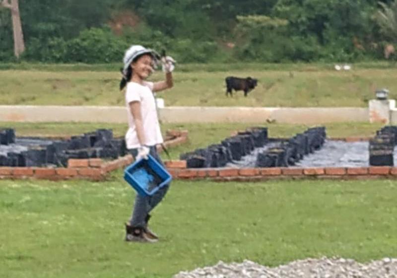 فندق Halcyon Days @ Langkawi