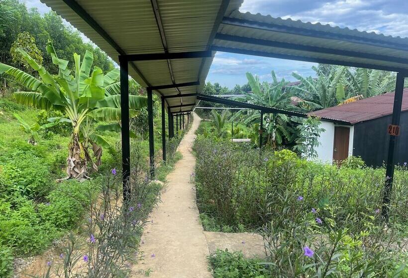 هتل Nguyen Shack Retreat Resort