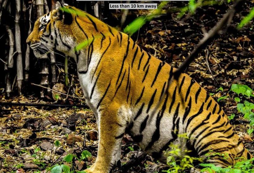 ホテル Capital O 11324 The Bentree