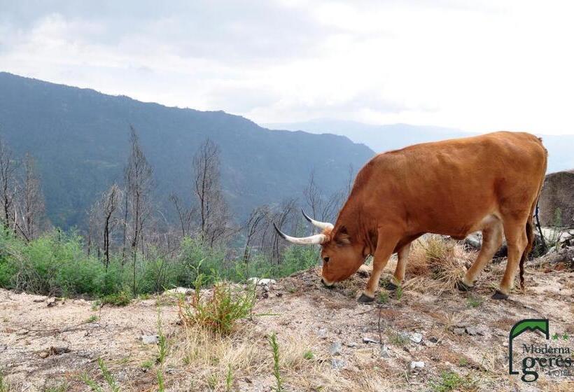 بنسيون Gerês Guest House