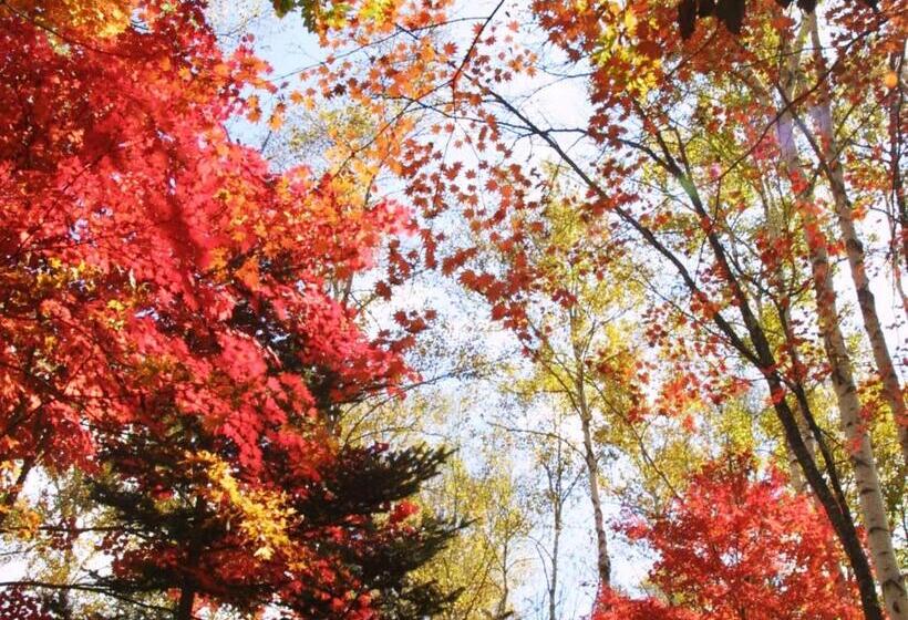 פנסיון Iwane Sanso