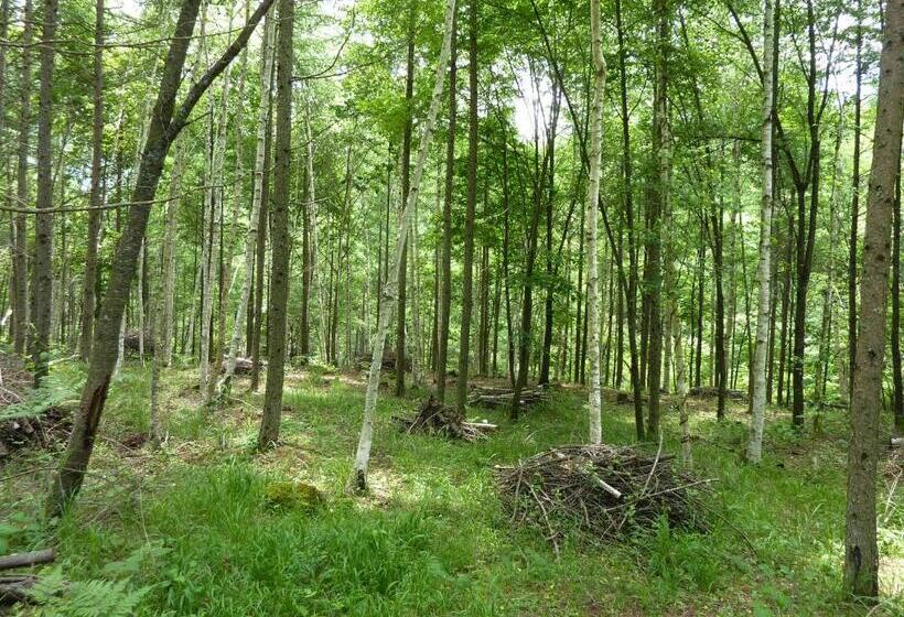 פנסיון Iwane Sanso