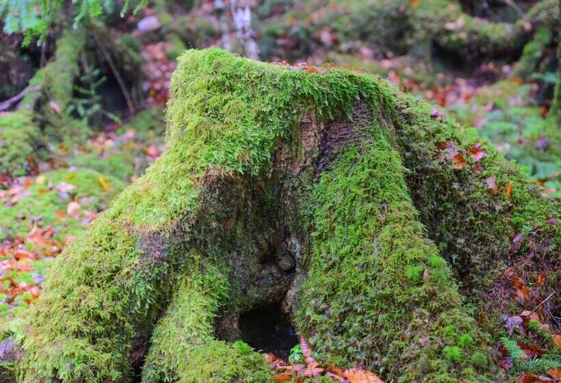 פנסיון Iwane Sanso