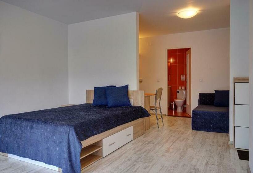 ペンション Vila Alba Brasov