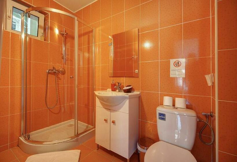 ペンション Vila Alba Brasov