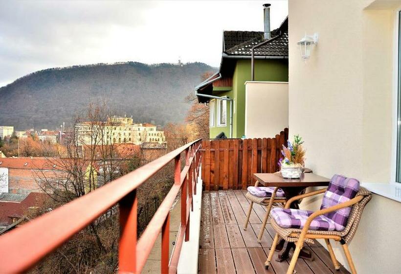 ペンション Vila Alba Brasov