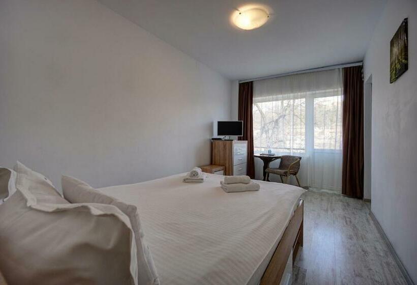 ペンション Vila Alba Brasov