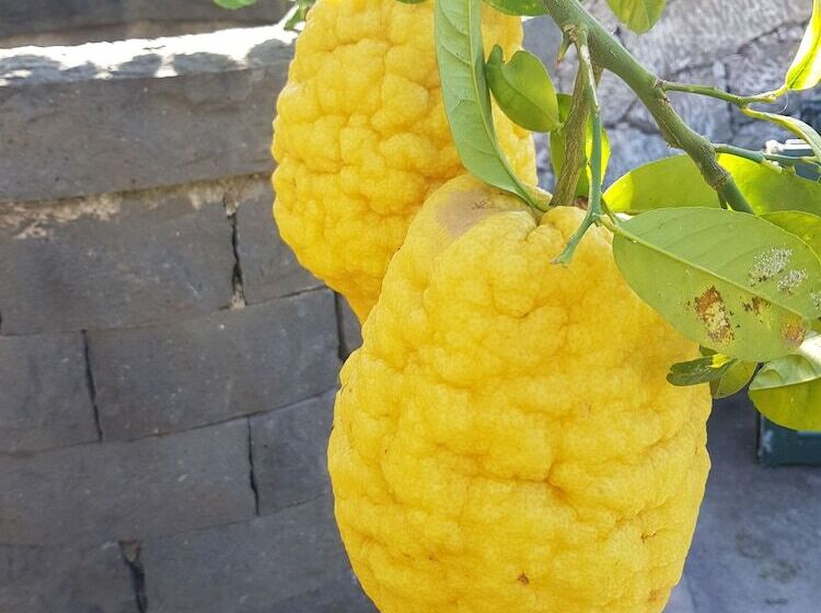 פנסיון Villa Antonino