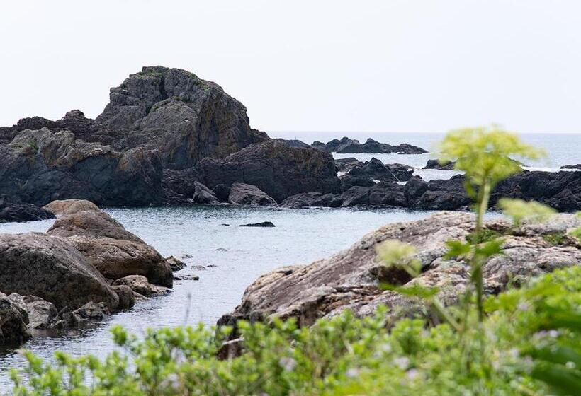 ريوكان Misaki Kanko