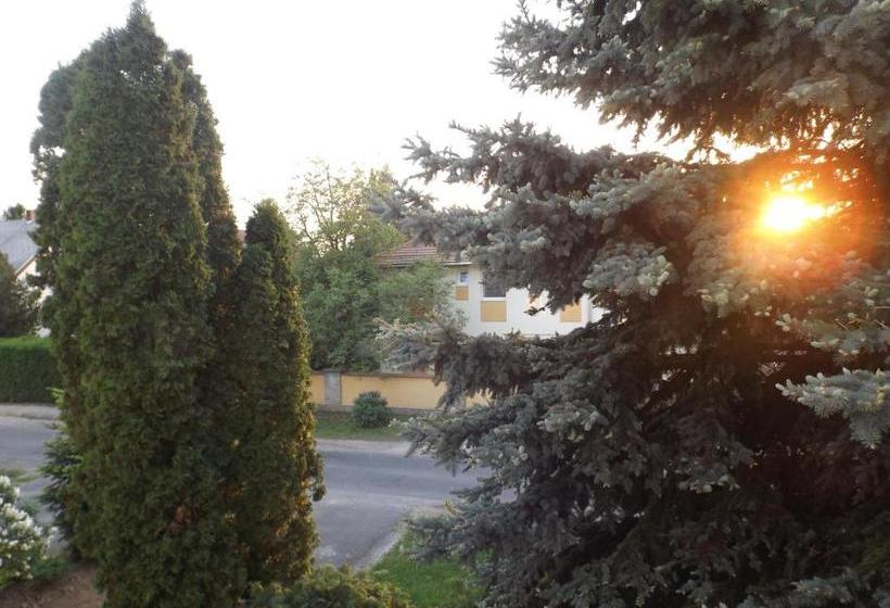 膳宿费 Hévízi Fecskefészek