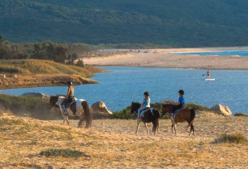 住所  Résidence La Plage