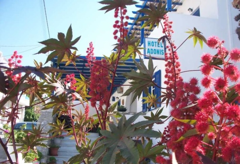 Adonis Hotel Naxos