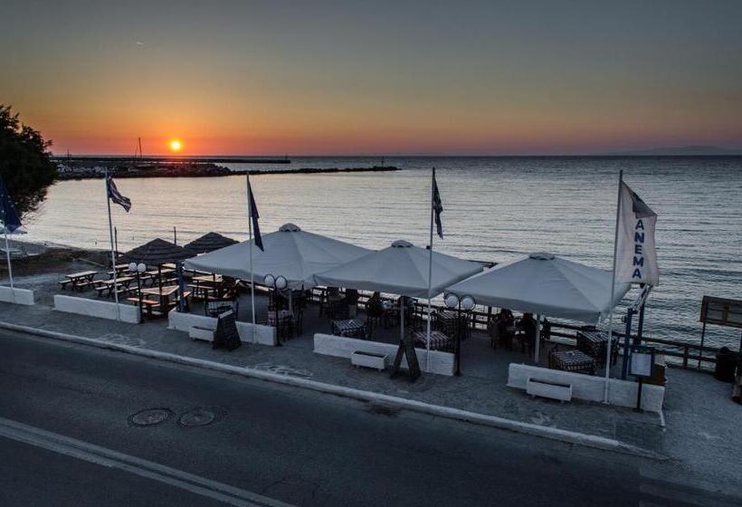 Anema By The Sea Guesthouse