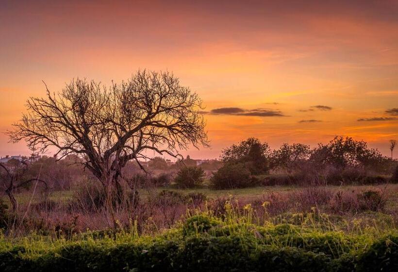 Apartamentos Solar Do Sol