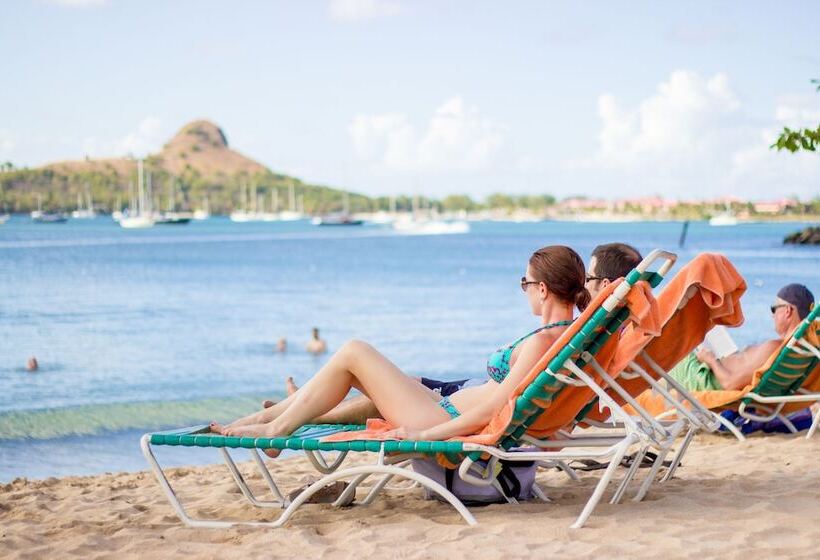 酒店 Bay Gardens Beach Resort & Spa