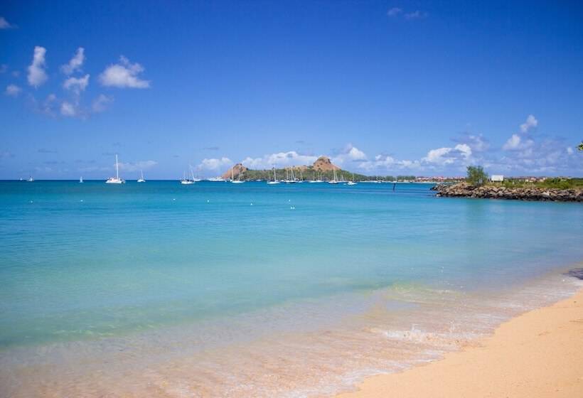 酒店 Bay Gardens Beach Resort & Spa