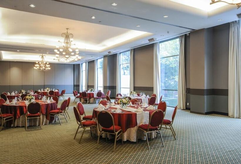 Отель Bel Air Unique Mexico City Wtc, Trademark By Wyndham