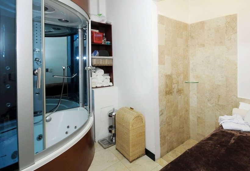 Отель Bel Air Unique Mexico City Wtc, Trademark By Wyndham