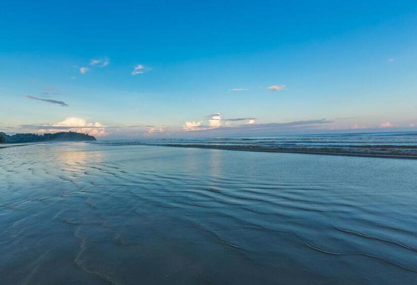 فندق Beringgis Beach Resort & Spa