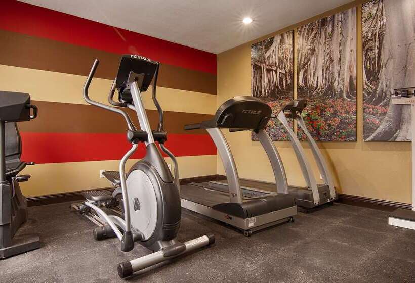 ホテル Best Western Plus Jackson Downtowncoliseum