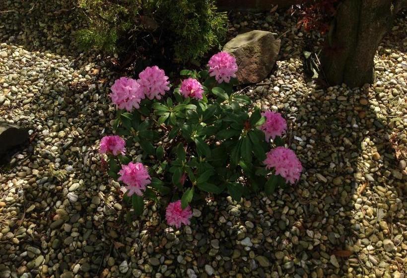 בית מלון כפרי Caldhame Lodge