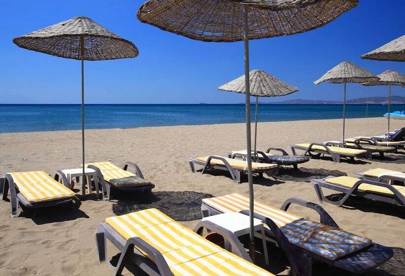 בית מלון כפרי Club Cactus Paradise   All Inclusive