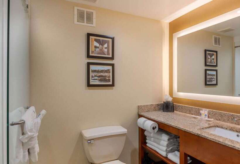 فندق Comfort Suites Southpark