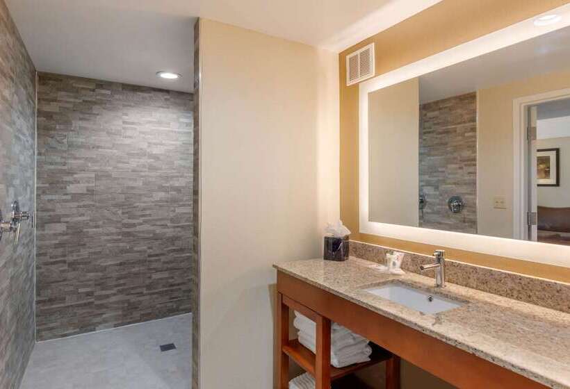 فندق Comfort Suites Southpark