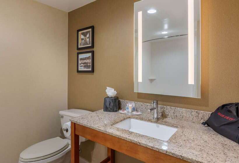 فندق Comfort Suites Southpark