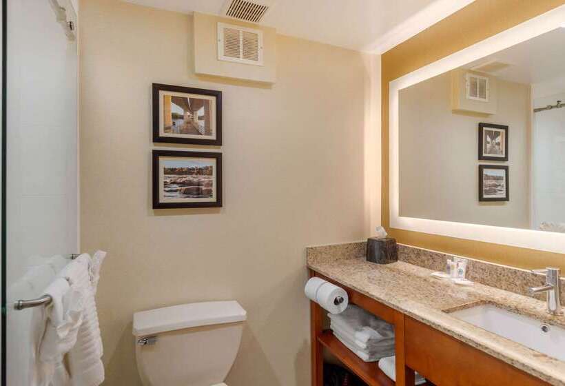 فندق Comfort Suites Southpark