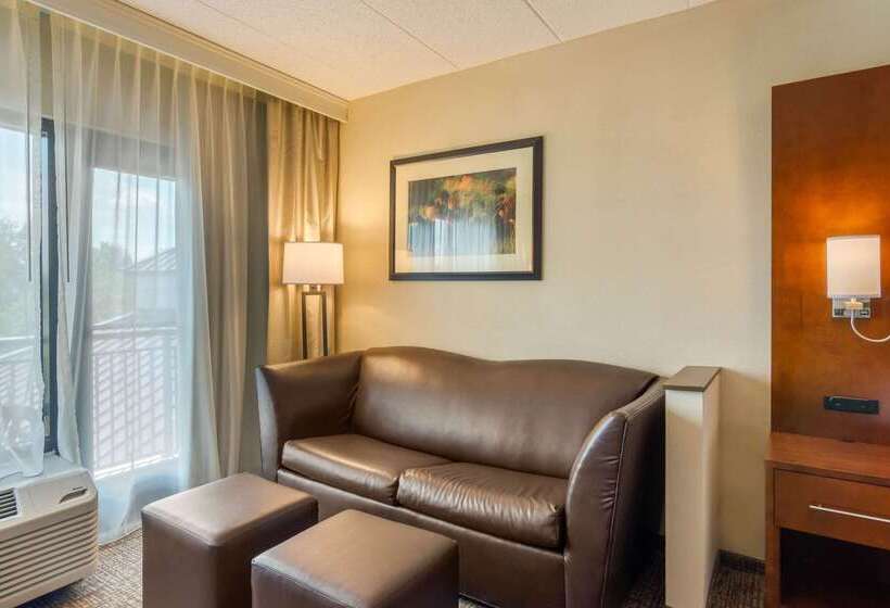 فندق Comfort Suites Southpark