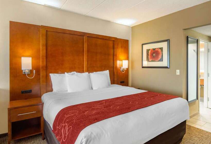 فندق Comfort Suites Southpark
