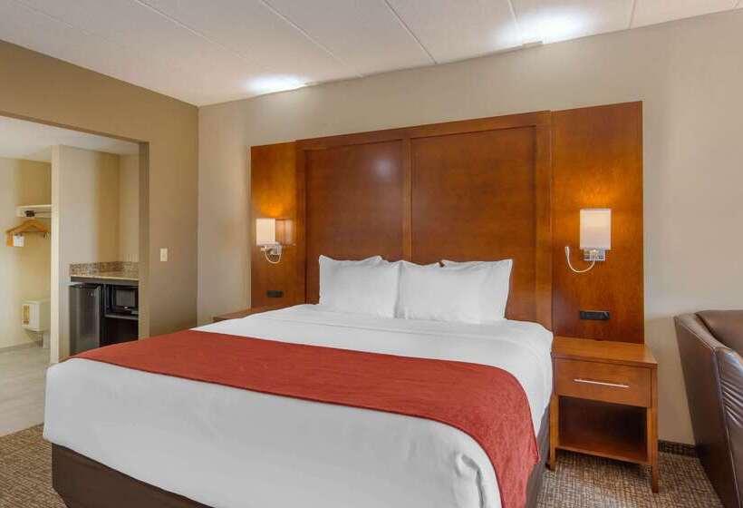 فندق Comfort Suites Southpark