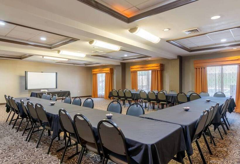 فندق Comfort Suites Southpark