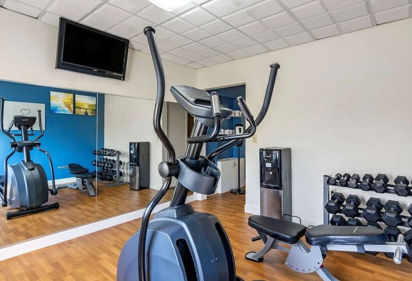 فندق Comfort Suites Southpark