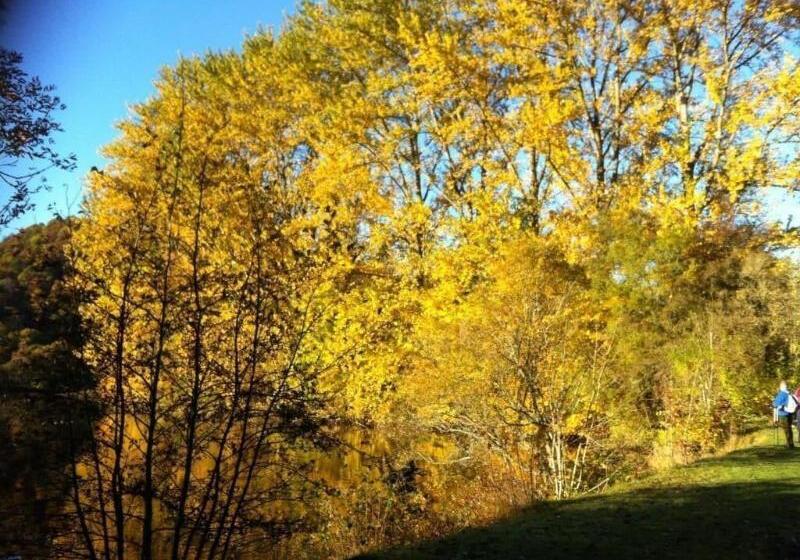 Отель Cuil An Daraich Guest House