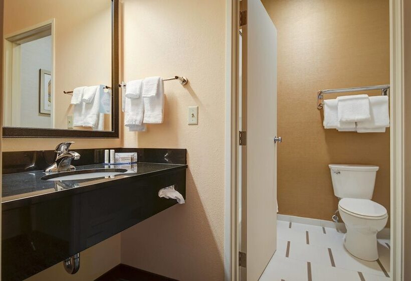 Отель Comfort Inn & Suites Green Bay Stadium Area