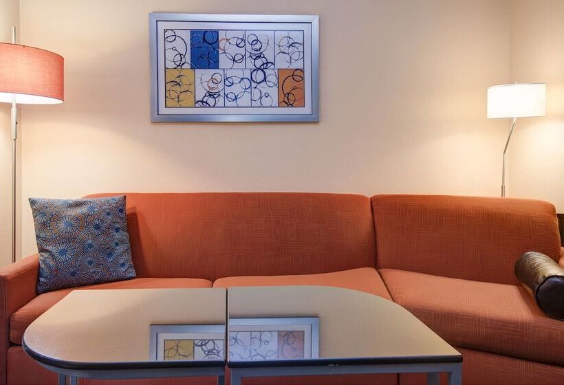 Отель Comfort Inn & Suites Green Bay Stadium Area