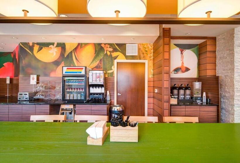 Отель Comfort Inn & Suites Green Bay Stadium Area