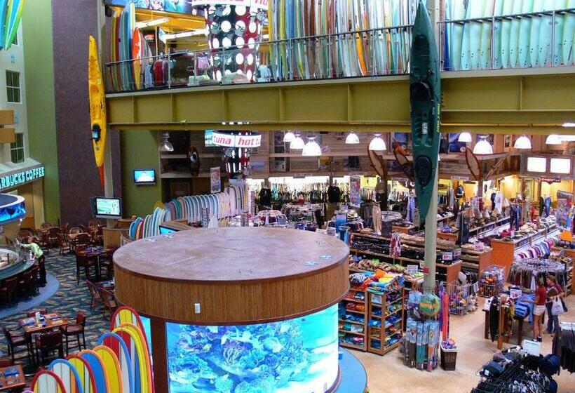 Szálloda Four Points By Sheraton Cocoa Beach