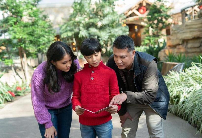 Отель Gaylord National Resort & Convention Center