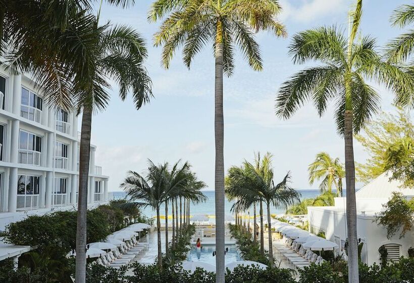 Отель Palm Heights