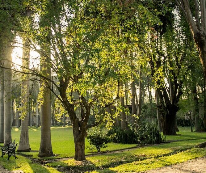 فندق Hacienda San Gabriel De Las Palmas