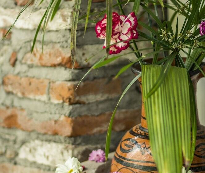 فندق Hacienda San Gabriel De Las Palmas