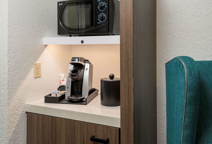 هتل Hilton Garden Inn Lafayette/cajundome