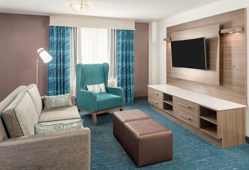 هتل Hilton Garden Inn Lafayette/cajundome