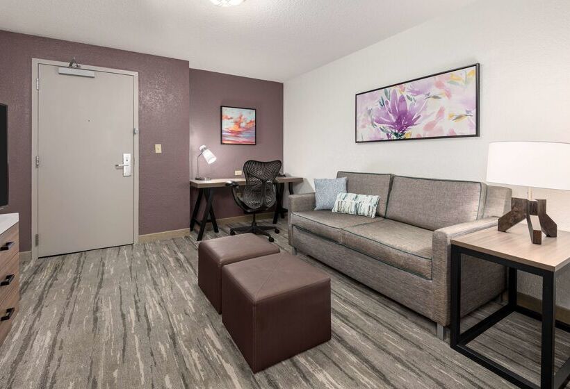 هتل Hilton Garden Inn Lafayette/cajundome