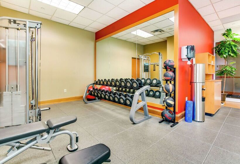 בית מלון כפרי Hilton Garden Inn Louisville Airport